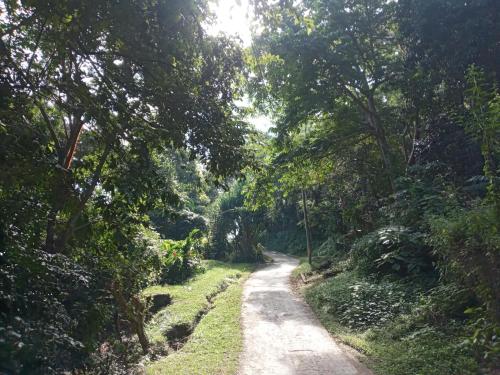 Sports and activities, Hostal Juan Lindo in San Pedro Sula Sports and activities, Hostal Juan Lindo in San Pedro Sula