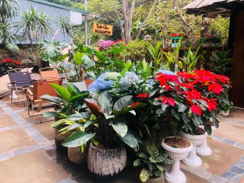 Trần Gia Homestay (Tran Gia Homestay) in Nghia Lo Trần Gia Homestay (Tran Gia Homestay) in Nghia Lo