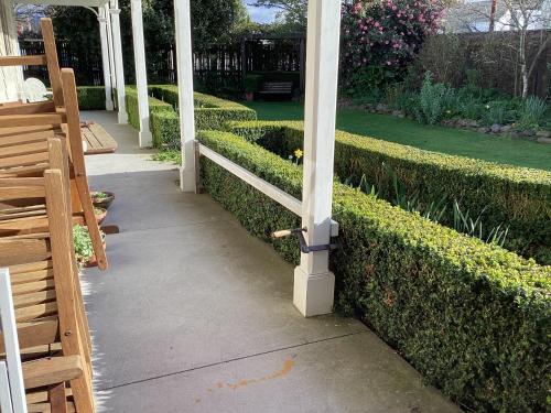puutarha, The Old School House bed and breakfast in Greytown puutarha, The Old School House bed and breakfast in Greytown