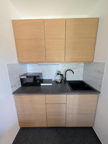 Sport apartmán 2117 (Sport apartman 2117) in Lipno nad Vltavou Sport apartmán 2117 (Sport apartman 2117) in Lipno nad Vltavou