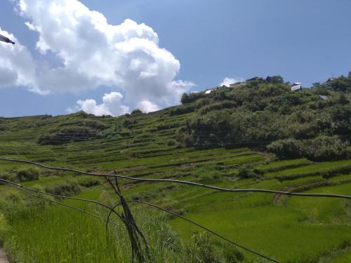 Rowena's Maligcong Homestay in Bontoc Rowena's Maligcong Homestay in Bontoc