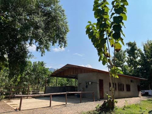 Taman, NamKhan Horses Stables in Ban Hathien Taman, NamKhan Horses Stables in Ban Hathien