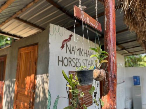 Kamar Mandi, NamKhan Horses Stables in Ban Hathien Kamar Mandi, NamKhan Horses Stables in Ban Hathien
