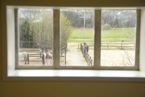 Facilities, B&B Hoeve Morgenster in Doldersum Facilities, B&B Hoeve Morgenster in Doldersum
