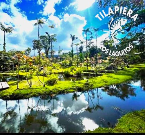Cabañas Los Laguitos Rio Celeste (Cabanas Los Laguitos Rio Celeste) in 比哈瓜德烏帕拉 Cabañas Los Laguitos Rio Celeste (Cabanas Los Laguitos Rio Celeste) in 比哈瓜德烏帕拉