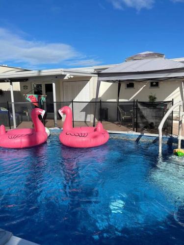 Flamingo Paradise in هياليه Flamingo Paradise in هياليه