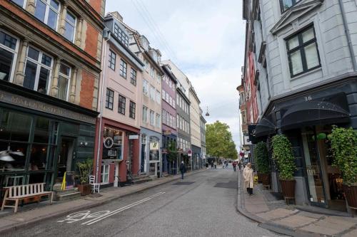 Super Cozy Apartment in Downtown CPH
