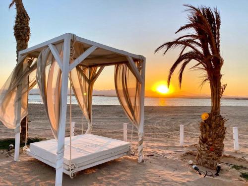 Great Sea View panorama Apartment