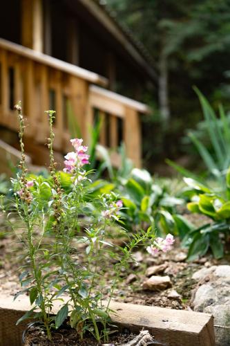Multi-Level Forest Lodge Near Silverwood with Vintage Ice Cream Parlor & Movie Theater in Blanchard (ID) Multi-Level Forest Lodge Near Silverwood with Vintage Ice Cream Parlor & Movie Theater in Blanchard (ID)