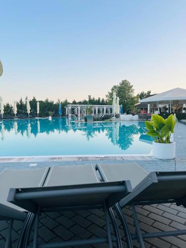 Resort Plaza Lake in Rojiste Resort Plaza Lake in Rojiste