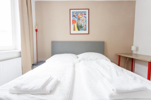 Cozy Family & Group Apartment - 15 min to Center