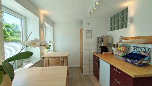 Konyha, boardinghouse Kappeln by team SchleiFee in Kappeln Konyha, boardinghouse Kappeln by team SchleiFee in Kappeln