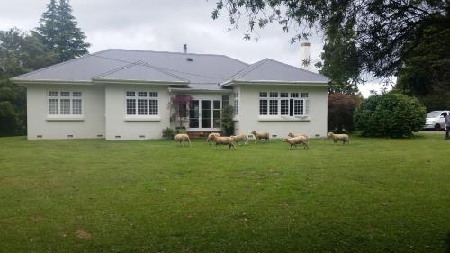 Homestead B&B Cambridge in كامبريدج Homestead B&B Cambridge in كامبريدج
