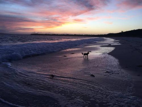 Paws and Pause at The Bay in Callala Bay Paws and Pause at The Bay in Callala Bay