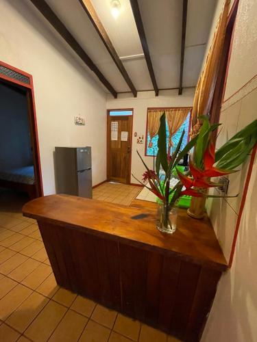 Cabinas Caribe Luna in 卡維塔 Cabinas Caribe Luna in 卡維塔