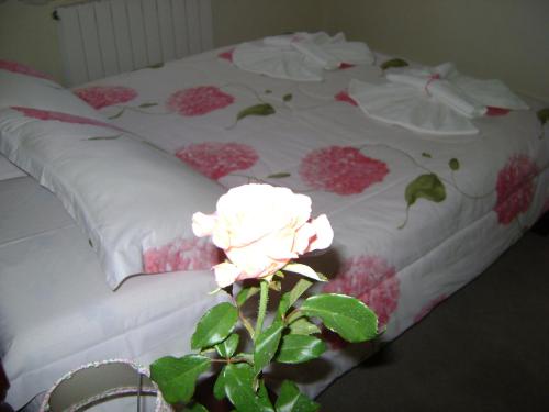 This photo about Pousada Beija Flor shared on HyHotel.com