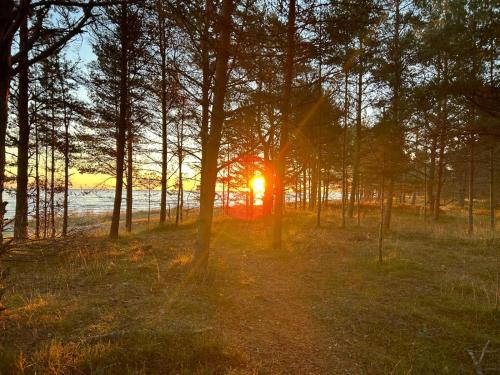 A környék, Brīvdienu māja Mulki (Brivdienu maja Mulki) in Roja A környék, Brīvdienu māja Mulki (Brivdienu maja Mulki) in Roja