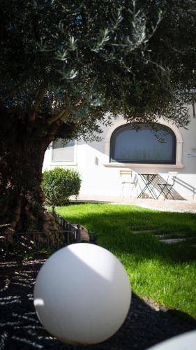 Garden, Casa Catone (affitta camere) in Monte Porzio Catone Garden, Casa Catone (affitta camere) in Monte Porzio Catone