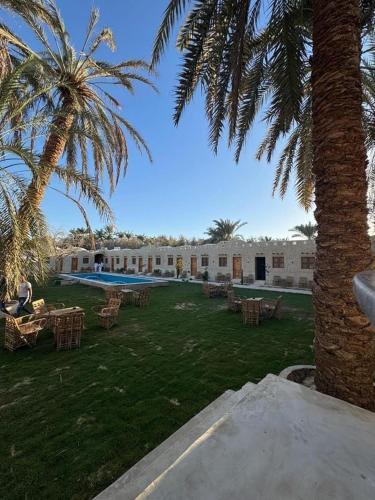 فندق إريغن Erighin siwa hotel (فندق إريغن Erighin siwa hotel) in سيوة فندق إريغن Erighin siwa hotel (فندق إريغن Erighin siwa hotel) in سيوة