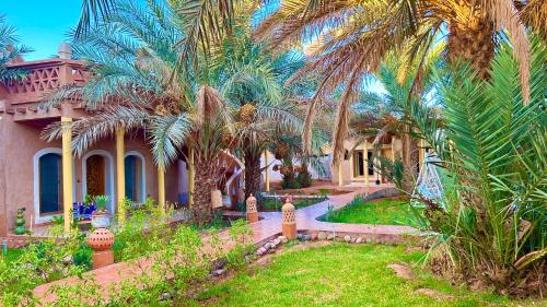 Jardín, Oasis Tilogui - Luxury hotel in Zagora in Zagora Jardín, Oasis Tilogui - Luxury hotel in Zagora in Zagora