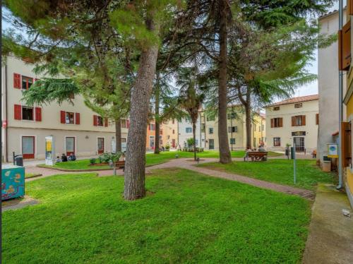 Green Day in Novigrad Green Day in Novigrad