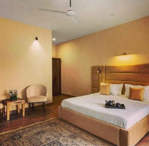 Bougainvillea Stays in Zirakpur Bougainvillea Stays in Zirakpur