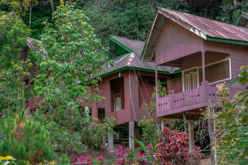 parveke/terassi, Pak Mus Guest House Ketambe - 0813-7072-1793 in Bukit Lawang parveke/terassi, Pak Mus Guest House Ketambe - 0813-7072-1793 in Bukit Lawang
