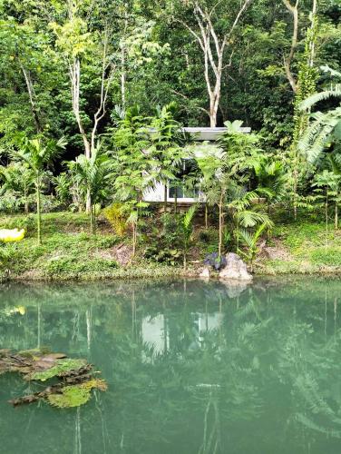 บ้านเล็กในป่าใหญ่โฮมสเตย์ กงหรา พัทลุง in Kong Ra บ้านเล็กในป่าใหญ่โฮมสเตย์ กงหรา พัทลุง in Kong Ra