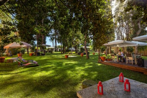 Garden, Hotel Area in Eur and Garbatella Garden, Hotel Area in Eur and Garbatella