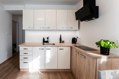 ห้องครัว, Apartmán Srdce Vysočiny (Apartman Srdce Vysociny) in สวราทัช ห้องครัว, Apartmán Srdce Vysočiny (Apartman Srdce Vysociny) in สวราทัช