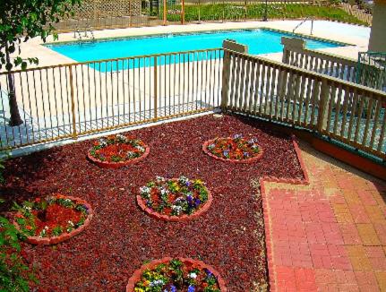 This photo about Executive Inn and Suites Springdale shared on HyHotel.com