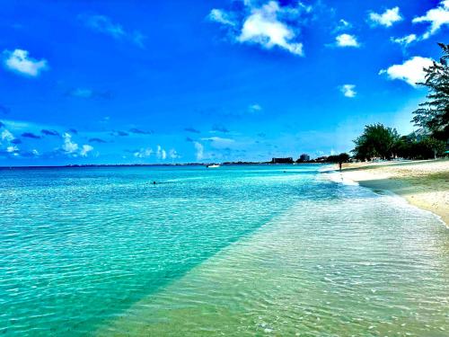 The Grove in Grand Cayman The Grove in Grand Cayman