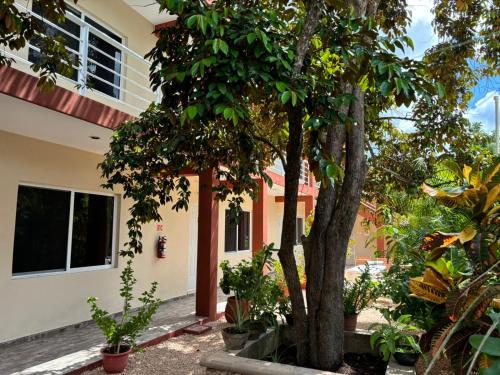 Casa del cenote in Sta Ana Casa del cenote in Sta Ana