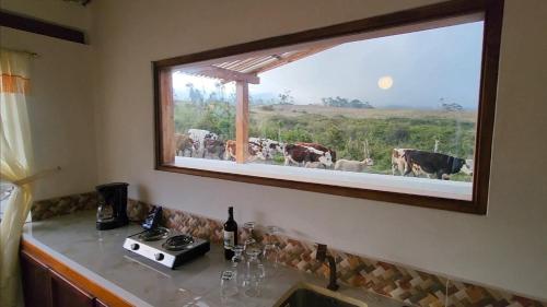 餐飲選擇, Hacienda San Nicolas de Cuicocha in 哥塔卡奇 餐飲選擇, Hacienda San Nicolas de Cuicocha in 哥塔卡奇