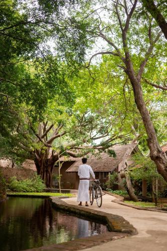 정원, 시기리야 빌리지 (Sigiriya Village) in 시기리야 정원, 시기리야 빌리지 (Sigiriya Village) in 시기리야