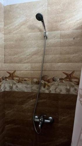 cozy home in baie malgache in Baie Malgache cozy home in baie malgache in Baie Malgache