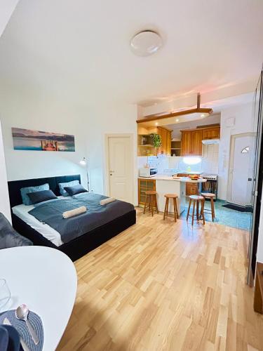 Gellert Hill Studio-Buda Castle