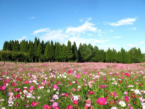 This photo about Belnatio shared on HyHotel.com