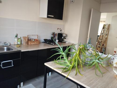 Appartement entier avec terrasse in Thaon Les Vosges Appartement entier avec terrasse in Thaon Les Vosges