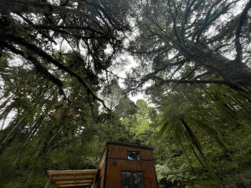 Wonderforest 2 Bedroom Tiny house Ruapehu Unique Stays in Taumarunui Wonderforest 2 Bedroom Tiny house Ruapehu Unique Stays in Taumarunui