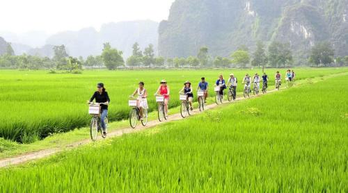 Tam Coc Sunshine Hostel in Ninh Bình Tam Coc Sunshine Hostel in Ninh Bình