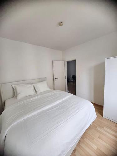 Cozy 2 Room- Zürich City Center