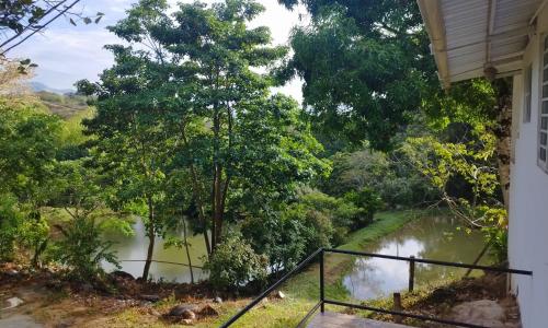 Surrounding environment, Birding Colombia Lodge cerca a Ibague in Boqueron Surrounding environment, Birding Colombia Lodge cerca a Ibague in Boqueron