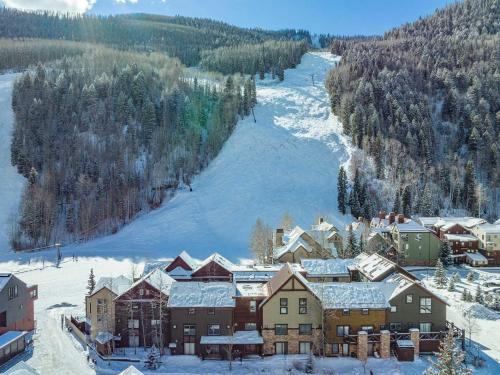 Remodeled Luxury Condo - Skii in Skii out in Telluride (CO) Remodeled Luxury Condo - Skii in Skii out in Telluride (CO)