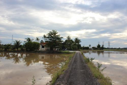 Arau Pulau Hilir Home in Arau Arau Pulau Hilir Home in Arau