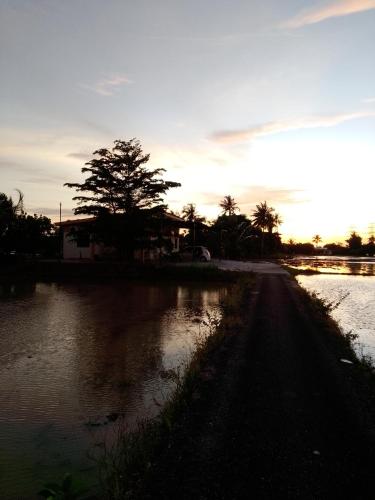 Arau Pulau Hilir Home in Arau Arau Pulau Hilir Home in Arau