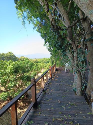 Napahong forest camp in Phrao Napahong forest camp in Phrao