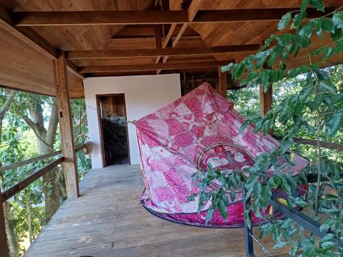 Napahong forest camp in Phrao Napahong forest camp in Phrao
