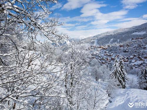 Charmant appart 2 pièces avec mezzanine, balcon sud, proche pistes - 6 pers - FR-1-182-154 (Charmant appart 2 pieces avec mezzanine, balcon sud, proche pistes - 6 pers - FR-1-182-154) in Meribel Charmant appart 2 pièces avec mezzanine, balcon sud, proche pistes - 6 pers - FR-1-182-154 (Charmant appart 2 pieces avec mezzanine, balcon sud, proche pistes - 6 pers - FR-1-182-154) in Meribel