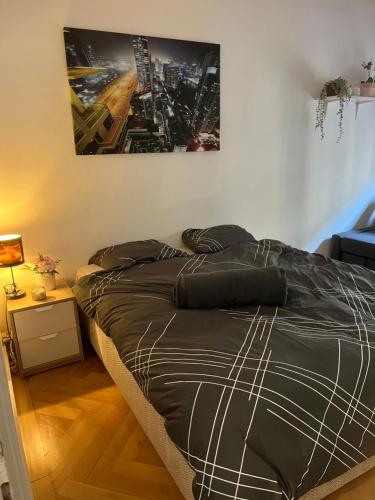 Super appartement à Plaimpalais